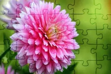 Imagem jigsaw puzzle