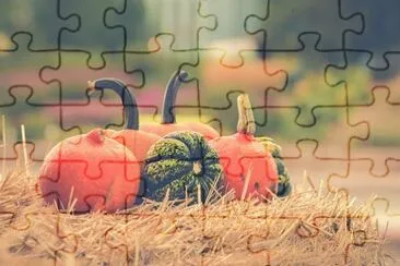 Imagem jigsaw puzzle