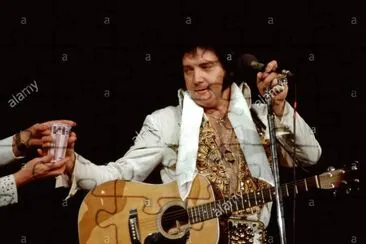 elvis in concert