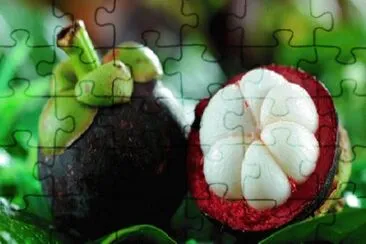 Imagem jigsaw puzzle