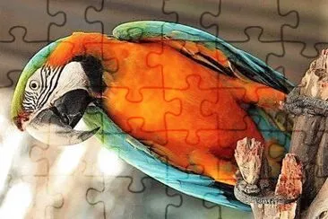 natural jigsaw puzzle