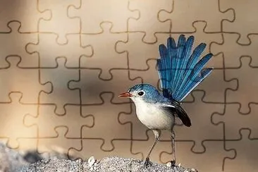 natural jigsaw puzzle