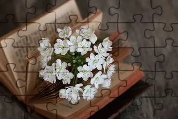 Imagem jigsaw puzzle