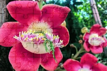 flores jigsaw puzzle