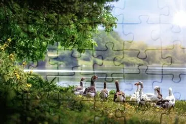 Nature jigsaw puzzle