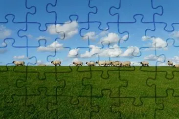 Nature jigsaw puzzle