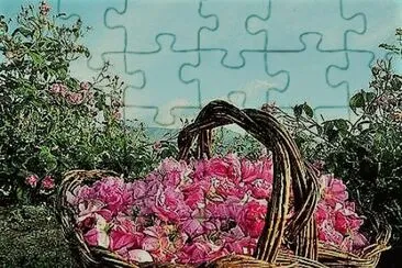 flores jigsaw puzzle