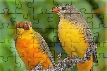 natural jigsaw puzzle