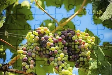 natural jigsaw puzzle