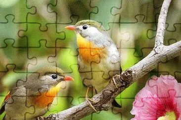 natural jigsaw puzzle