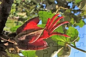 natural jigsaw puzzle