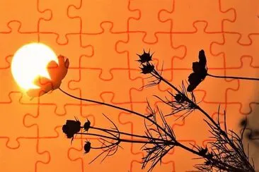 natural jigsaw puzzle