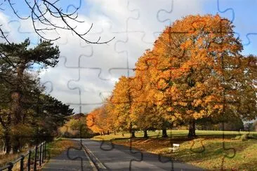 flores jigsaw puzzle