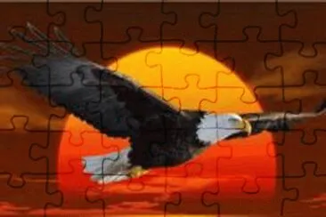 eagle in flight jigsaw puzzle