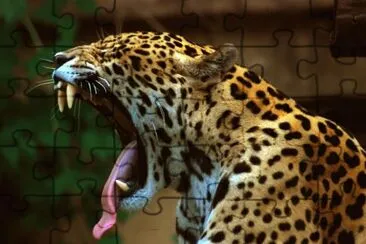 JAGUAR jigsaw puzzle