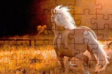 cavalo jigsaw puzzle