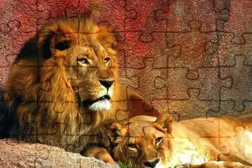 animais jigsaw puzzle