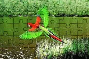 OK jigsaw puzzle