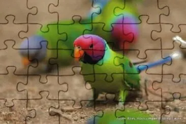 Foto jigsaw puzzle