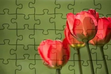 OK jigsaw puzzle