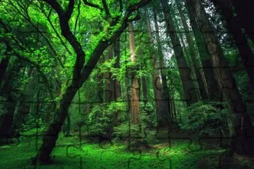 Nature jigsaw puzzle