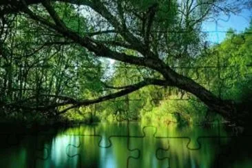 Nature jigsaw puzzle