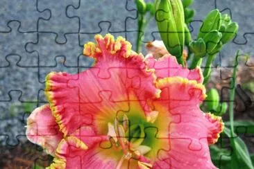 Toy jigsaw puzzle