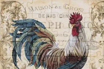 gallo