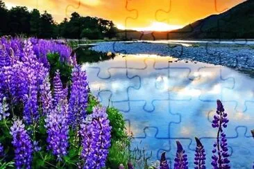 8 jigsaw puzzle