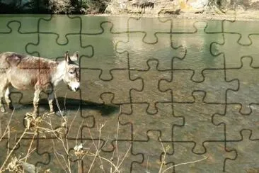 20 jigsaw puzzle