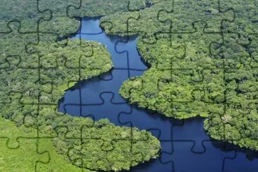 Nature jigsaw puzzle