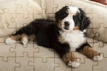 36 jigsaw puzzle