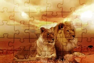 1 jigsaw puzzle