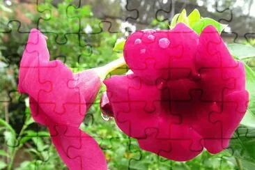 OK jigsaw puzzle