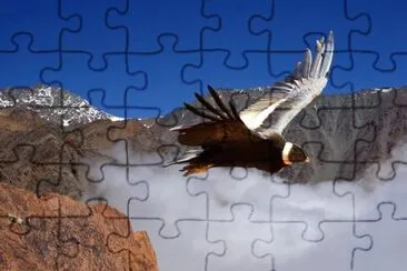 CONDOR jigsaw puzzle