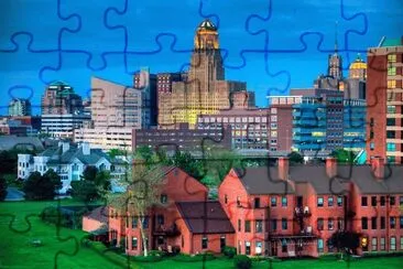 Buffalo jigsaw puzzle