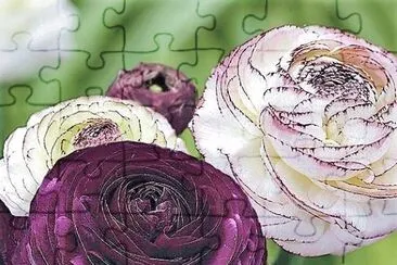 flores jigsaw puzzle