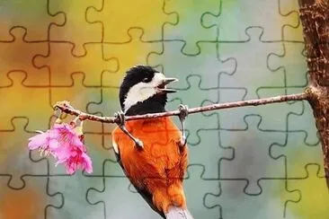 natural jigsaw puzzle