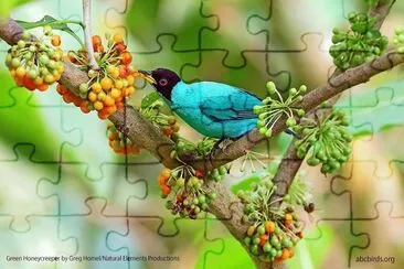 natural jigsaw puzzle