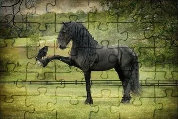 azabache jigsaw puzzle