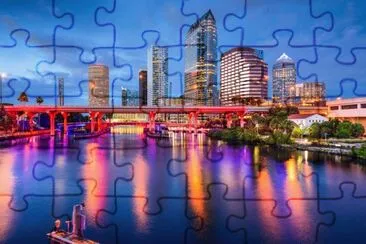 Tampa jigsaw puzzle