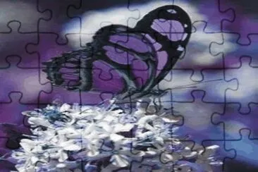 Butterfly jigsaw puzzle