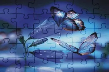 Butterfly jigsaw puzzle