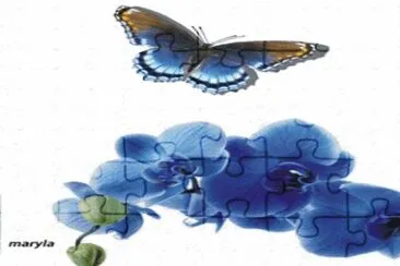 Butterfly jigsaw puzzle