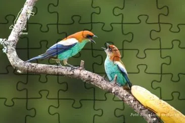 OK jigsaw puzzle