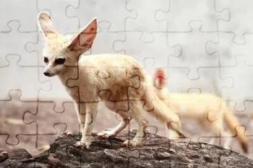 OK jigsaw puzzle