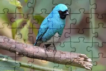 OK jigsaw puzzle