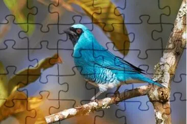 OK jigsaw puzzle