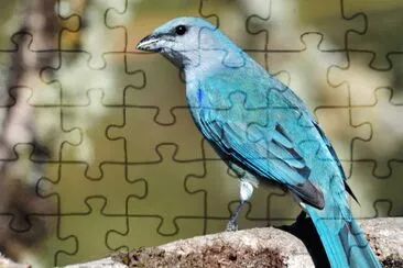 OK jigsaw puzzle