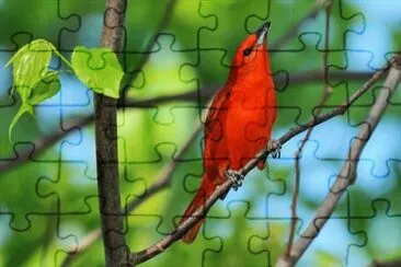 OK jigsaw puzzle